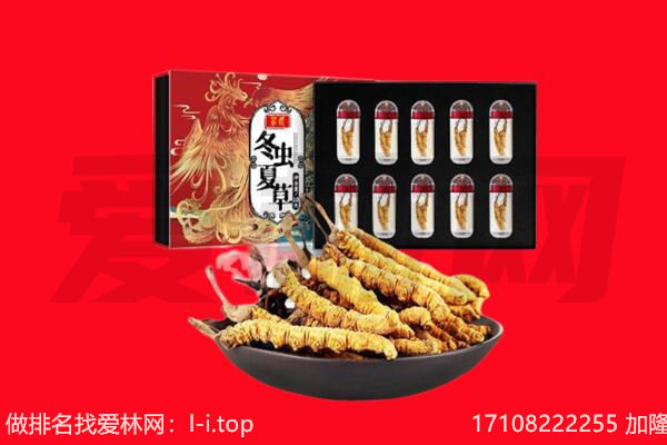 呼和浩特市土默特左旗回收虫草.jpg